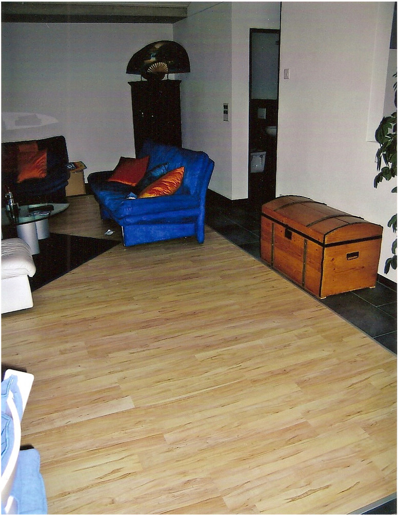 Laminat4.JPG